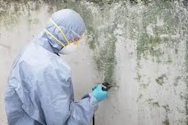 Best Residential Mold Inspection & Testing  in Ceres, CA